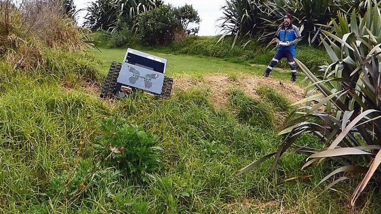 Bersiva li ser çinîna giya li Zelanda Nû piştî barana deh rojên paşîn